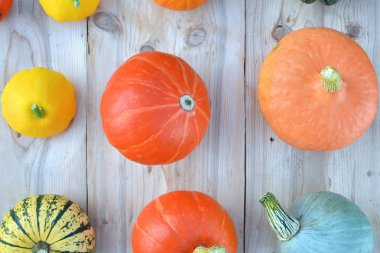 Kabaklar ve squashes ahşap üzerine. Sonbahar arka plan.