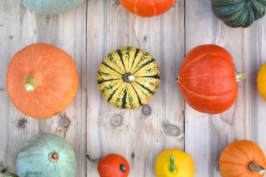 Kabaklar ve squashes ahşap plakalar üzerinde farklı çeşitleri. Sonbahar arka plan.