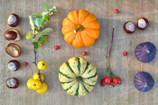 Herbst Natur Hintergrund Mit Früchten Und Kastanien Auf Holz Textur — Stockfoto