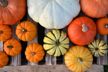 Ahşap arka plan üzerinde farklı pumpkins düz yatıyordu bileşimi