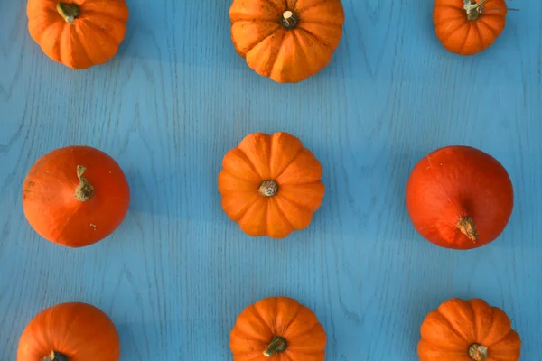 Calabazas Sobre Fondo Madera Azul —  Fotos de Stock