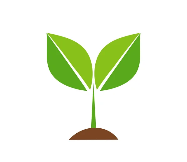 Spring Plant Icon Vector Illustration — Stock Vector