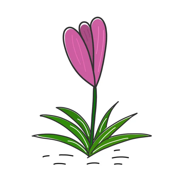 紫クロッカスの花のアイコンです ベクトル図 — ストックベクタ