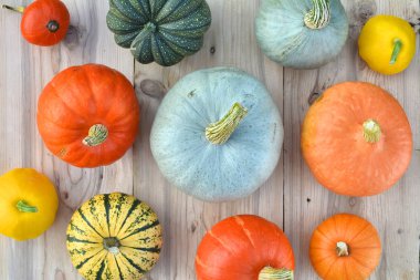Kabaklar ve squashes ahşap arka plan üzerinde farklı çeşitleri