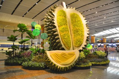 Singapur - 7 Ekim 2015: Changi Havaalanı Singapore, gidiş salonu. Kanepe ve bahçe dekorasyon Durian meyve şekilli.