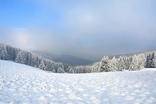Paisaje Invernal Escénico Bosque Las Montañas — Foto de Stock