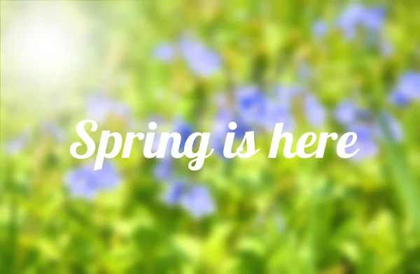 Весна Тут Текст Над Розмитим Зеленим Синім Тлом — стокове фото