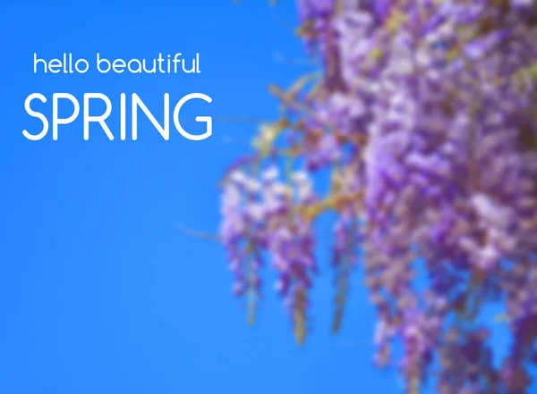 Hello Beautiful Spring Text Blue Sky Background Purple Wisteria Flowers — Stock Photo, Image