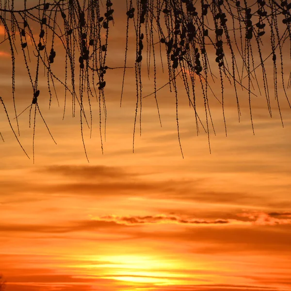 Vista Panorámica Del Cielo Naranja Atardecer —  Fotos de Stock