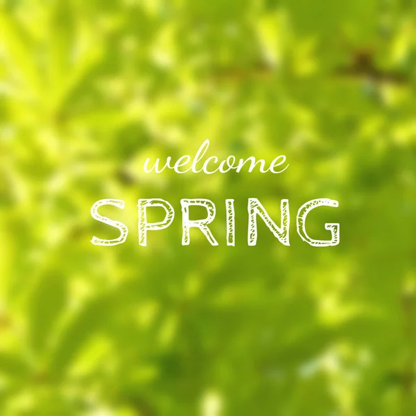 Welcome Spring Green Blurred Tree Foliage Background — Stock Photo, Image