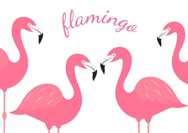 Grupo Flamencos Rosados Aislados Sobre Fondo Blanco Ilustración Vectorial — Vector de stock