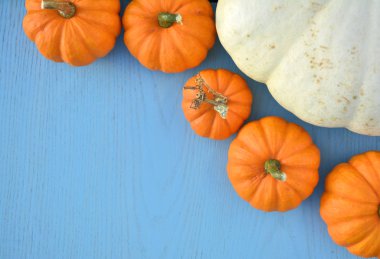 Mavi ahşap arka plan üzerinde renkli kabaklar