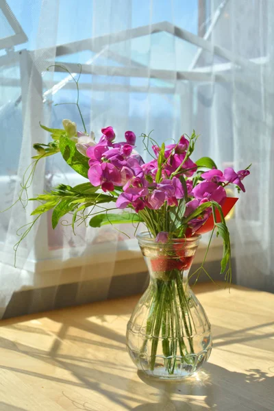 Pink Sweet Pea Flowers Fresh Bouquet Home — Stock Photo, Image