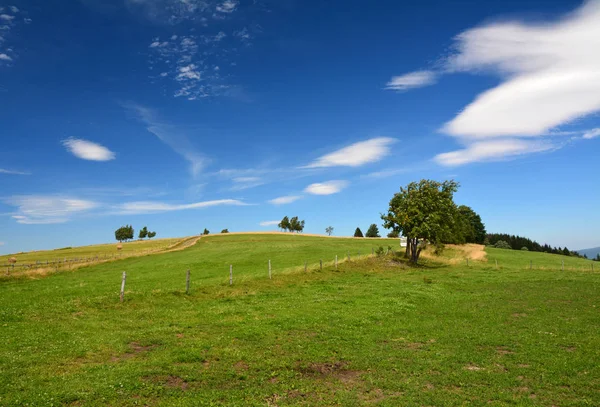 Scenic Rural Landscape Poland — Stock Photo, Image