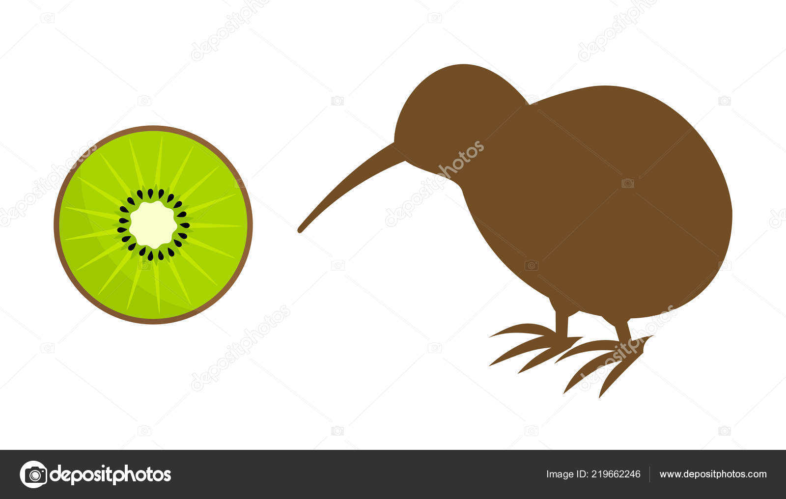 Kiwis Icônes Oiseau Kiwi Illustration Vectorielle Image