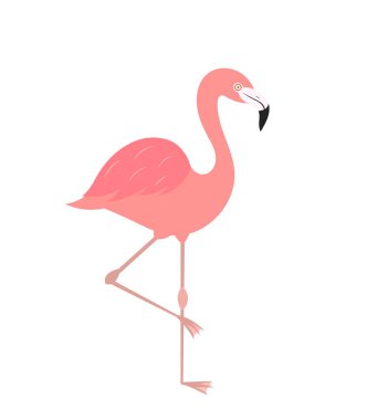Flamingo kuşu beyaz simgesine izole. Vektör illustrsation