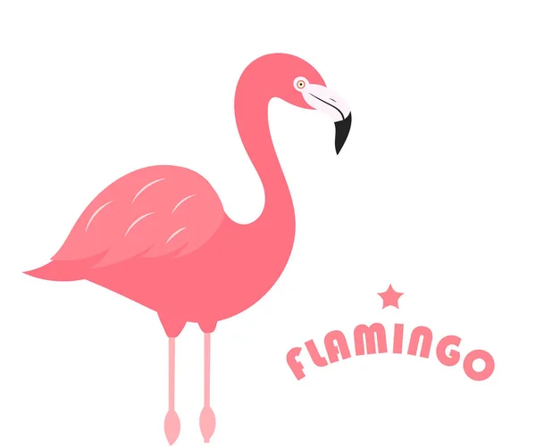 Flamingo Kuşu Beyaz Arka Plan Üzerinde Vektör Illustrsation — Stok Vektör