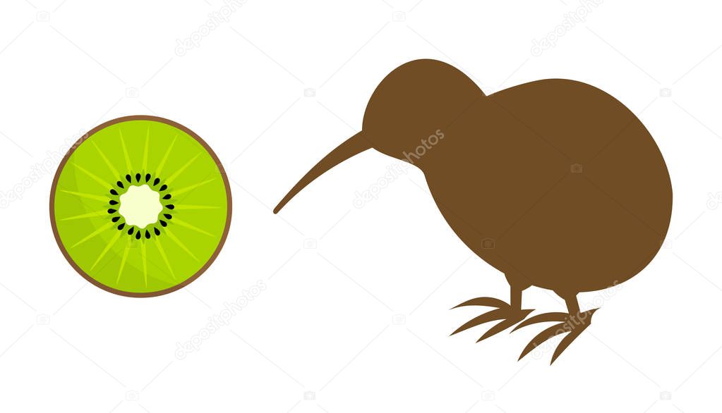 Kiwi fruit and kiwi bird icons. Vector illustration
