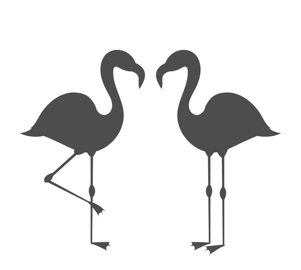 Couple Flamingos Silhouettes Vector Illustration — Stock Vector