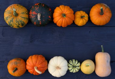 Kabaklar ve squashes çeşitleri kenarlık. Düz ahşap siyah açayım