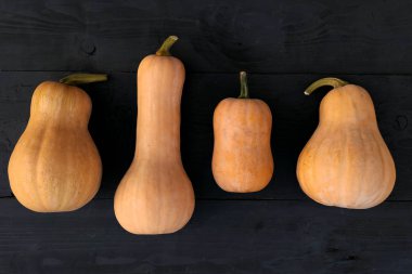 Siyah ahşap kurulları zemin üzerine Butternut squashes çeşitleri