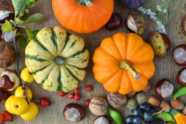 Sonbahar meyve - squashes, üzüm, fındık. Düz yatıyordu kompozisyon