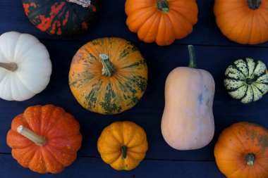 Kabaklar ve squashes çeşitleri. Koyu ahşap arka plan düz yatıyordu kompozisyonu