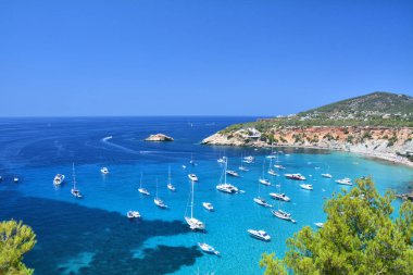 Cala d'Hort plaj ve turkuaz su Ibiza Adası, İspanya ile defne