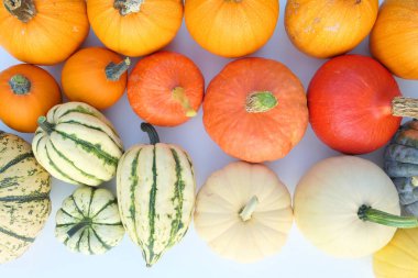 Kabaklar ve squashes çeşitleri gıda arka plan