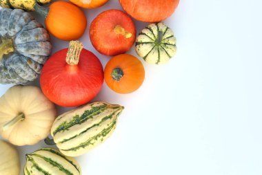 Kabaklar ve squashes çeşitleri gıda arka plan