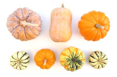 kabak ve kabak beyaz arkaplanda