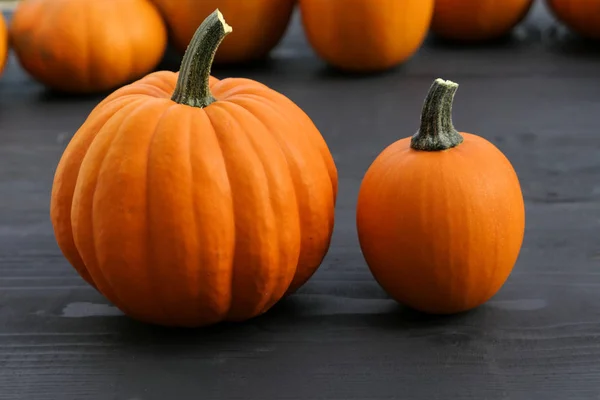 Citrouilles Orange Sur Table Bois Noir — Photo