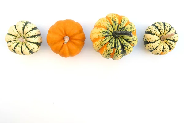 Pequeñas Calabazas Decorativas Calabazas Invierno Sobre Fondo Blanco Frontera Otoño — Foto de Stock