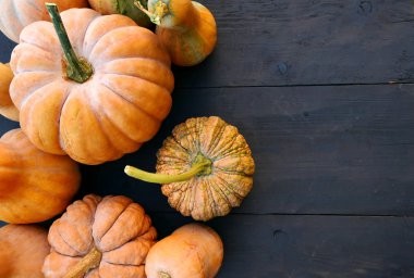 Cucurbita moschata kış squashes ve kabak çeşitleri siyah ahşap kurulları zemin üzerine