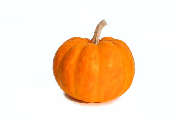 Zucca Arancione Isolato Sfondo Bianco — Foto Stock