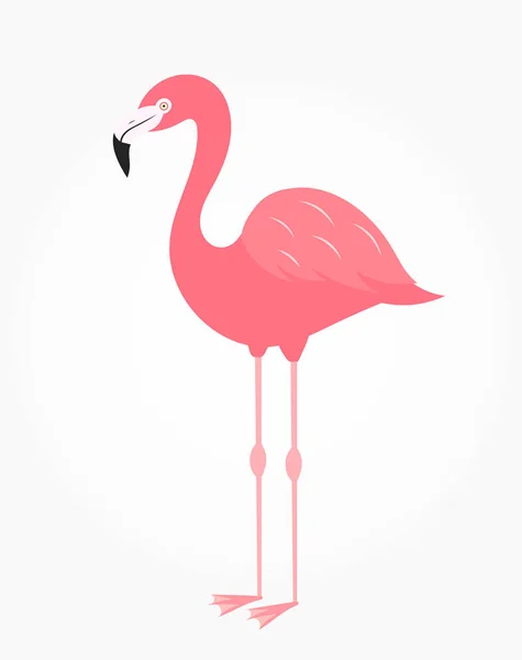 Niedlichen Flamingo Vogel Isoliert Auf Weißem Symbol Vektorillustration Cartoon Stil — Stockvektor