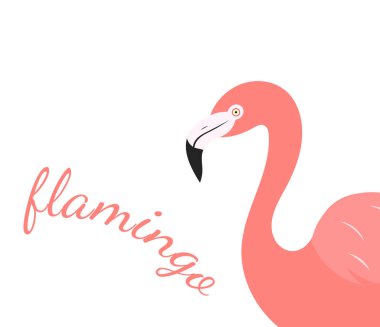 Flamingo kuş portre beyaz arka plan üzerinde. Vektör çizim.