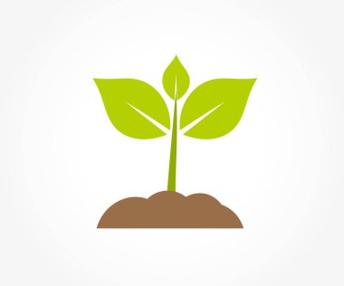 Küçük bitki fide toprakta çimlenme. Vektör çizim.