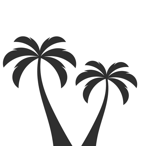 Zwei Palmen Vektorillustration — Stockvektor
