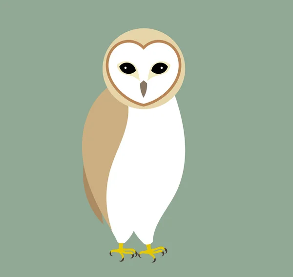 Barn Owl Vector Illustration — Stock Vector