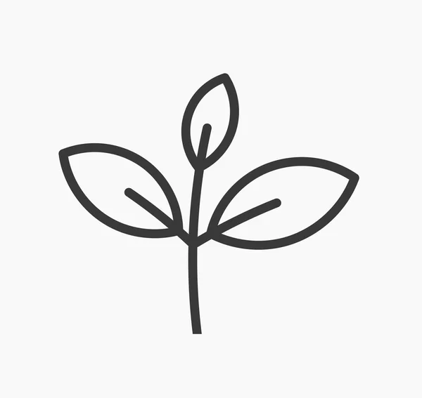 Little Plant Leaves Line Icon Vector Illustration — Stock Vector