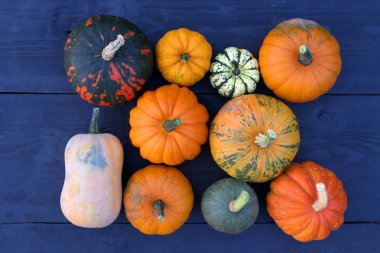 Kabaklar ve squashes çeşitleri. Koyu ahşap arka plan düz yatıyordu kompozisyonu