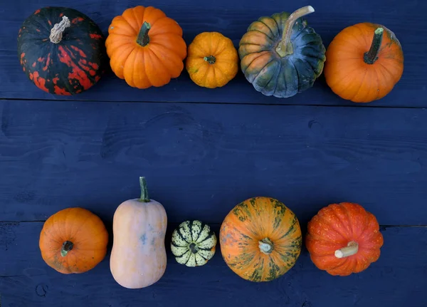 Kabaklar Squashes Çeşitleri Kenarlık Düz Ahşap Açayım — Stok fotoğraf