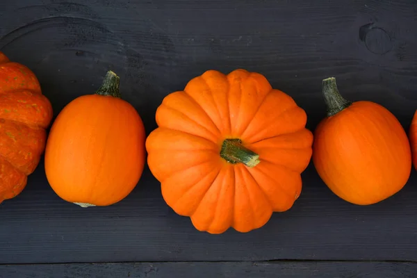 Calabazas Sobre Fondo Madera Negro Imagen de archivo