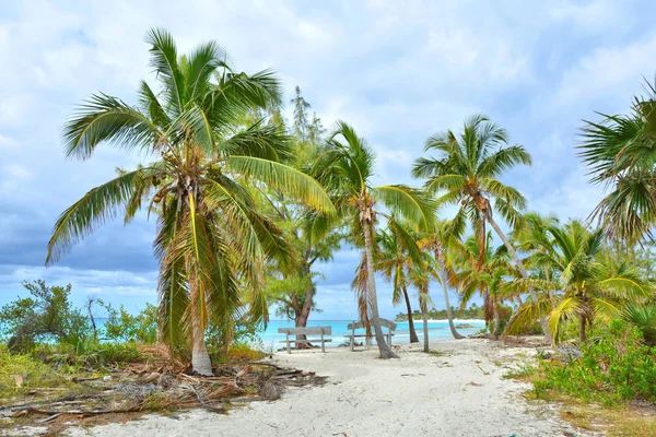 Paradise Wild Beach Eleuthera Island Bahamas — Stock Photo, Image