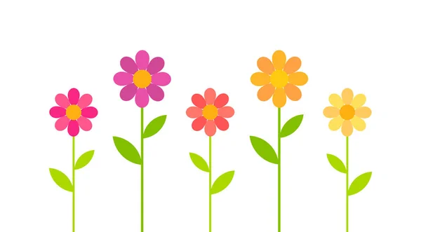 Coloridas Flores Margarita Primaveral Creciendo Ilustración Vectorial — Archivo Imágenes Vectoriales