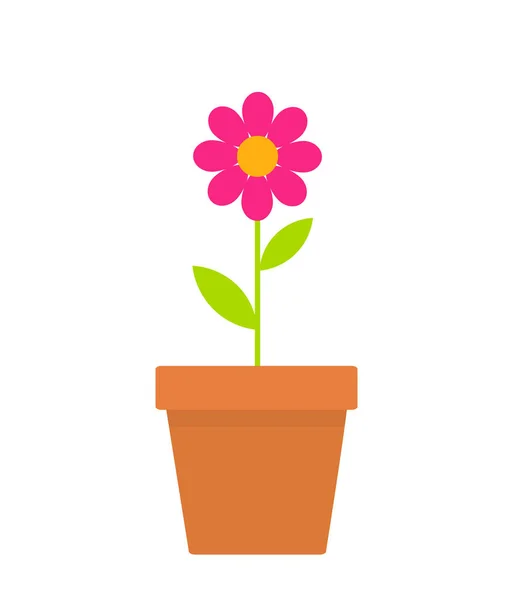 Pink Spring Daisy Flower Pot Vector Illustration — Stock Vector