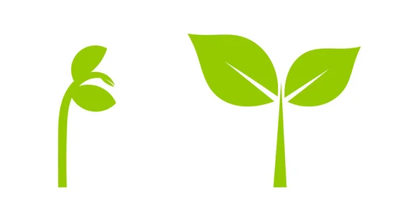 Ikony Sadzonki Roślin Ilustracja Wektorowa — Wektor stockowy