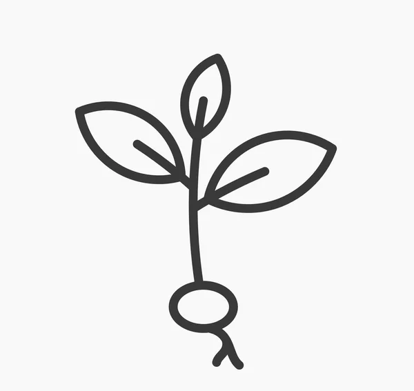 Pequeña planta planta línea de plántulas icono . — Vector de stock