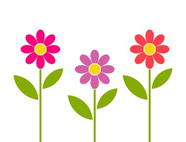 Pembe, kırmızı veya mor papatya çiçekleri bahçe içinde.